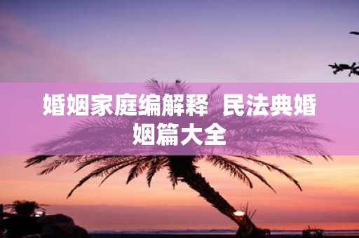 婚姻家庭编解释 民法典婚姻篇大全