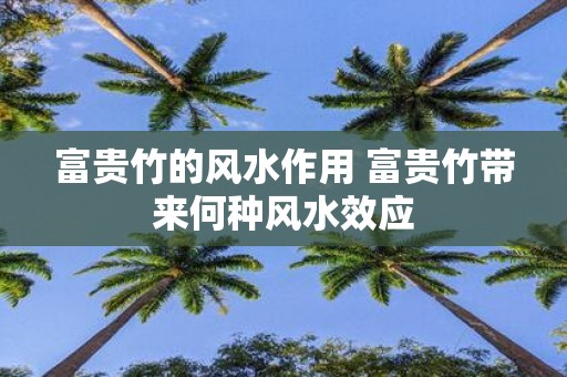 富贵竹的风水作用 富贵竹带来何种风水效应