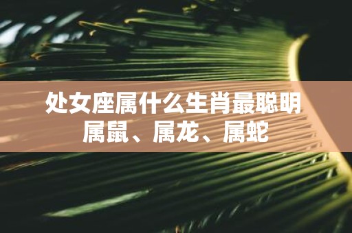 处女座属什么生肖最聪明 属鼠、属龙、属蛇