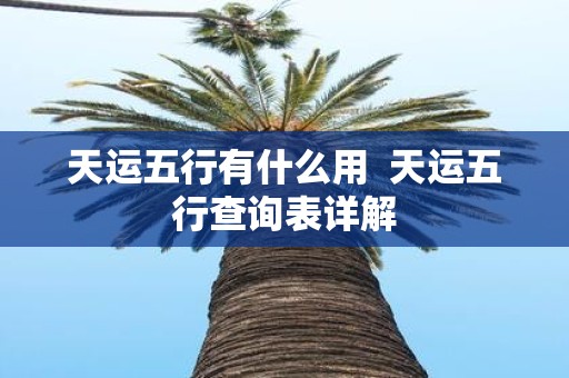 天运五行有什么用 天运五行查询表详解