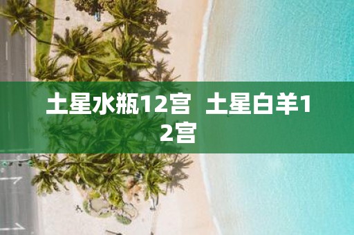 土星水瓶12宫 土星白羊12宫