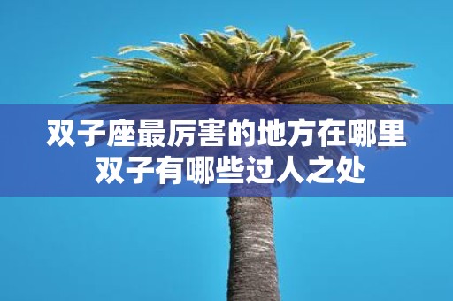 双子座最厉害的地方在哪里 双子有哪些过人之处