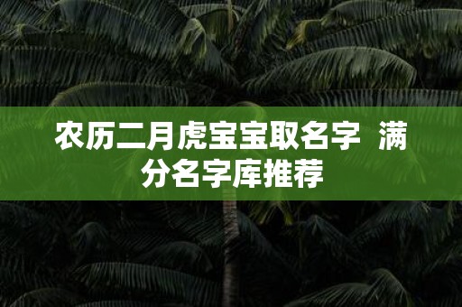 农历二月虎宝宝取名字 满分名字库推荐