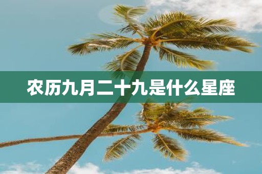 农历九月二十九是什么星座