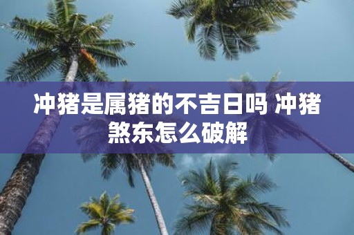 冲猪是属猪的不吉日吗 冲猪煞东怎么破解