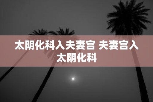 太阴化科入夫妻宫 夫妻宫入太阴化科