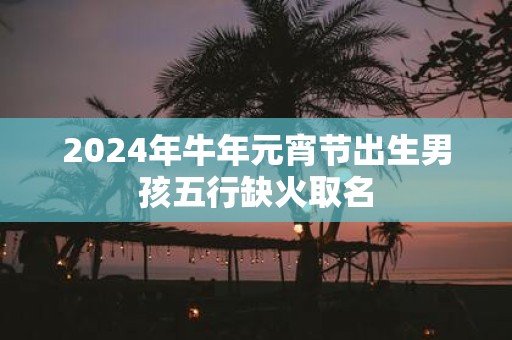 2025年牛年元宵节出生男孩五行缺火取名