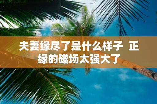 夫妻缘尽了是什么样子 正缘的磁场太强大了