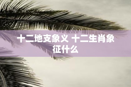十二地支象义 十二生肖象征什么