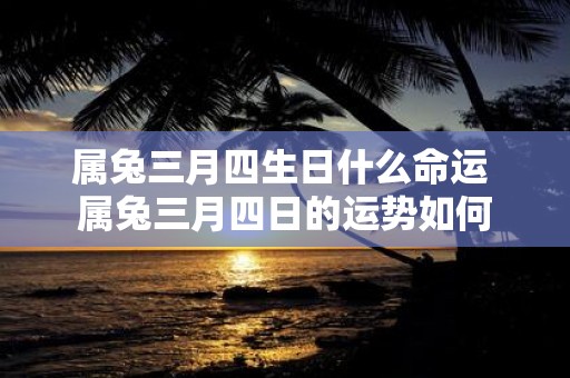 属兔三月四生日什么命运 属兔三月四日的运势如何