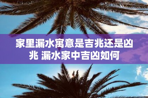 家里漏水寓意是吉兆还是凶兆 漏水家中吉凶如何