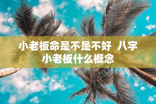 小老板命是不是不好 八字小老板什么概念