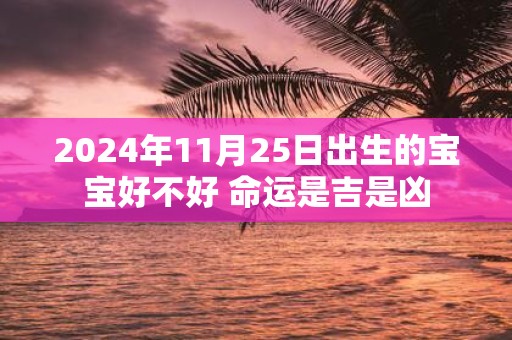 2025年11月25日出生的宝宝好不好 命运是吉是凶