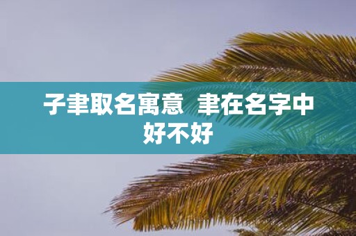 子聿取名寓意 聿在名字中好不好