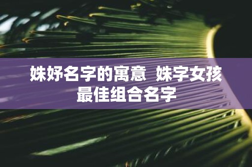 姝妤名字的寓意 姝字女孩最佳组合名字