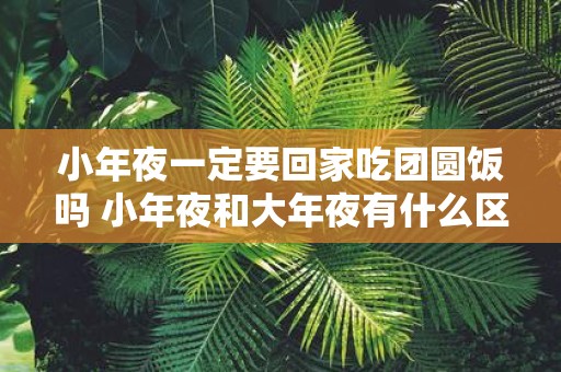 小年夜一定要回家吃团圆饭吗 小年夜和大年夜有什么区别