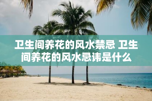 卫生间养花的风水禁忌 卫生间养花的风水忌讳是什么