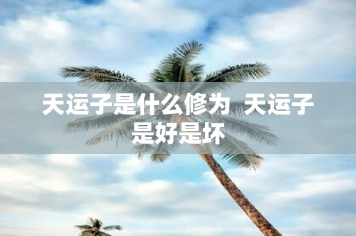 天运子是什么修为 天运子是好是坏