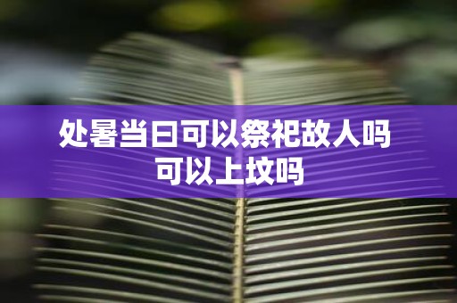 处暑当曰可以祭祀故人吗 可以上坟吗