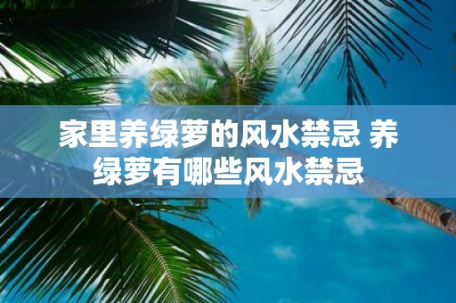 家里养绿萝的风水禁忌 养绿萝有哪些风水禁忌