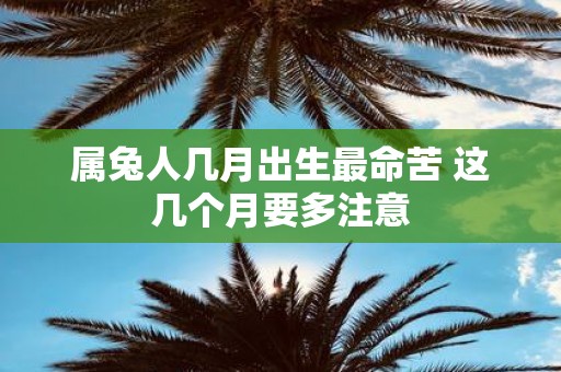 属兔人几月出生最命苦 这几个月要多注意
