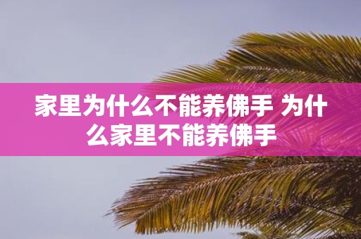 家里为什么不能养佛手 为什么家里不能养佛手