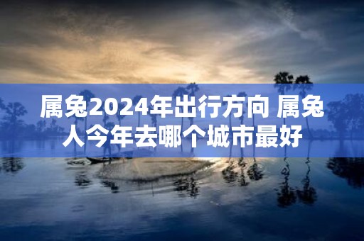 属兔2025年出行方向 属兔人今年去哪个城市最好