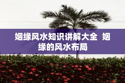 姻缘风水知识讲解大全 姻缘的风水布局