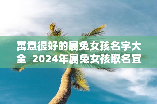 寓意很好的属兔女孩名字大全 2025年属兔女孩取名宜用字