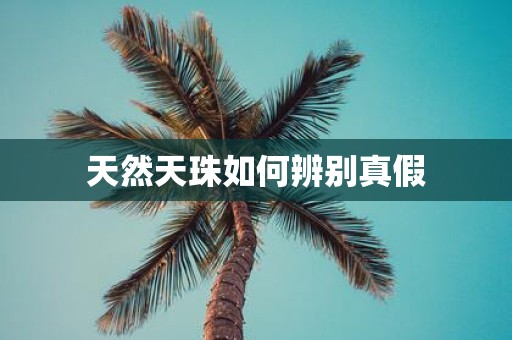 天然天珠如何辨别真假