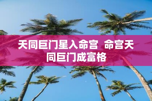 天同巨门星入命宫 命宫天同巨门成富格