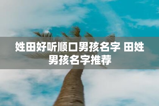 姓田好听顺口男孩名字 田姓男孩名字推荐