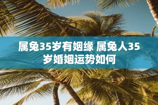 属兔35岁有姻缘 属兔人35岁婚姻运势如何