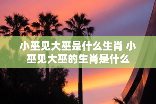 小巫见大巫是什么生肖 小巫见大巫的生肖是什么