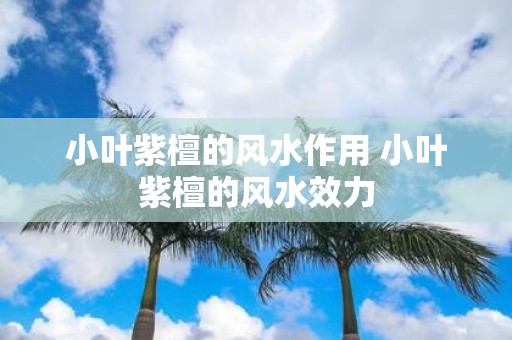 小叶紫檀的风水作用 小叶紫檀的风水效力