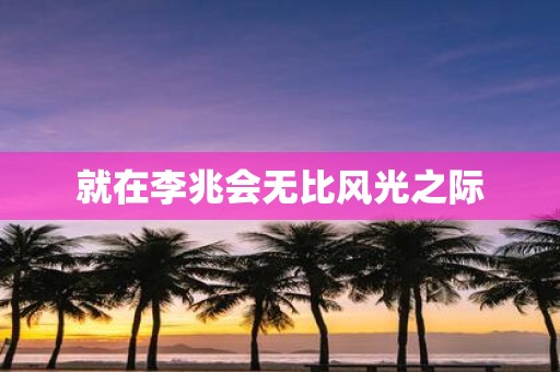 就在李兆会无比风光之际