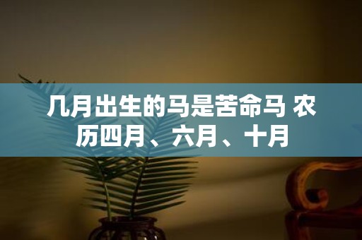 几月出生的马是苦命马 农历四月、六月、十月