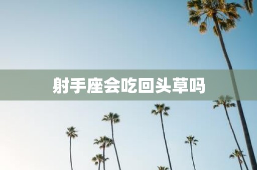 射手座会吃回头草吗