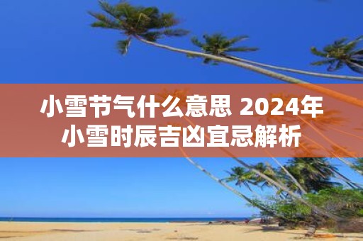 小雪节气什么意思 2025年小雪时辰吉凶宜忌解析