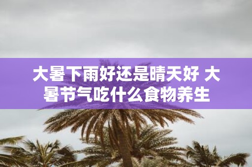 大暑下雨好还是晴天好 大暑节气吃什么食物养生