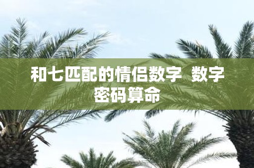 和七匹配的情侣数字 数字密码算命