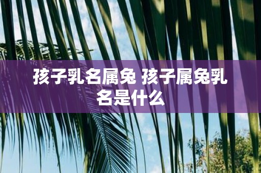 孩子乳名属兔 孩子属兔乳名是什么