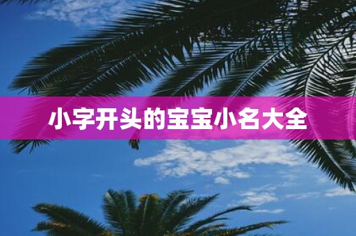小字开头的宝宝小名大全