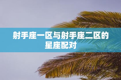 射手座一区与射手座二区的星座配对