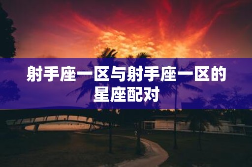 射手座一区与射手座一区的星座配对