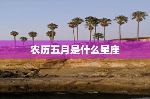 农历五月是什么星座
