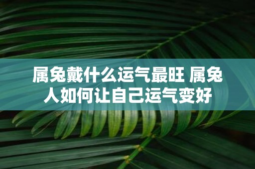 属兔戴什么运气最旺 属兔人如何让自己运气变好