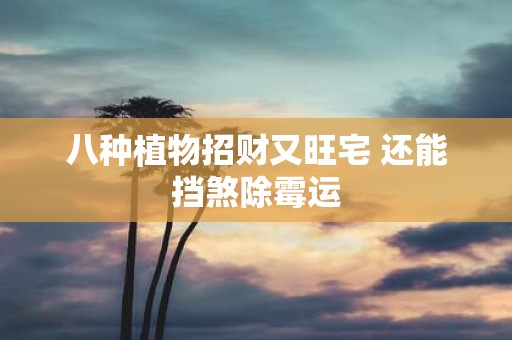 八种植物招财又旺宅 还能挡煞除霉运