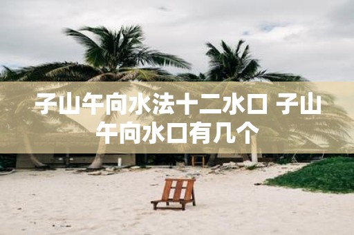 子山午向水法十二水口 子山午向水口有几个