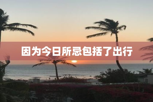 因为今日所忌包括了出行